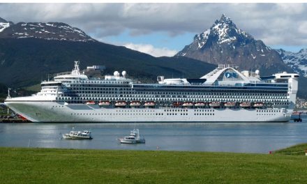 Temporada de cruceros antárticos: Avanzan los trabajos sobre protocolos para lograr un puerto seguro