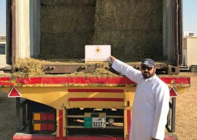 Alfalfa: de San Luis a Qatar