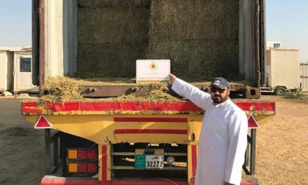 Alfalfa: de San Luis a Qatar