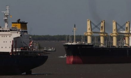 Prácticos solicitan que buques con escala en países limítrofes hagan cuarentena