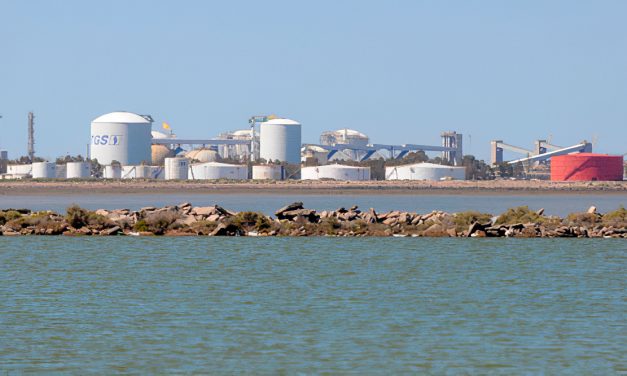 TGS y Excelerate Energy avanzan con su idea de hacer una planta de GNL en Bahía Blanca