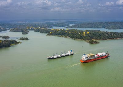 El Canal de Panamá implementa recomendaciones de la OMI  para proteger a las ballenas y otros animales acuáticos