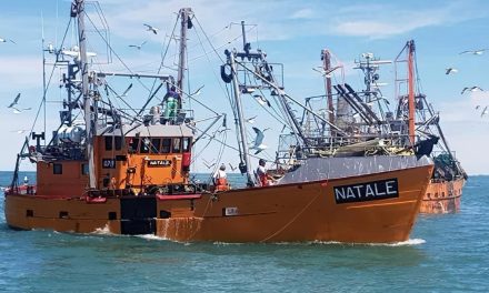 La provincia de Chubut solo autorizará la operatoria de barcos de casco acero