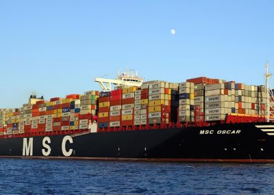 MSC ve hidrógeno y biocombustibles en la futura combinación de combustibles