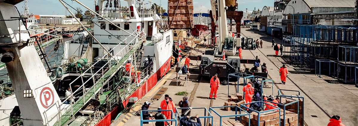 Crece la actividad pesquera en Bahía Blanca