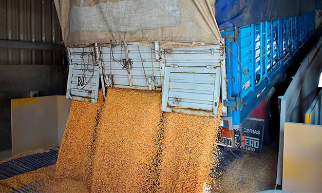 Agricultura busca alcanzar las 200 millones de toneladas de granos antes de 2030