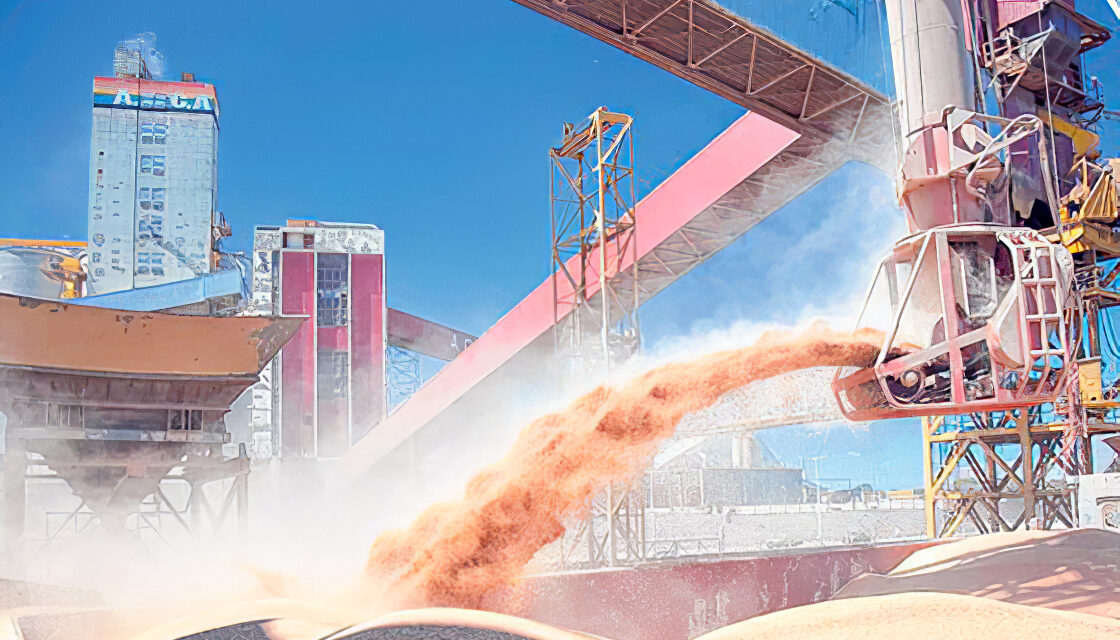 Soja: se despertó la liquidación de exportaciones de harina y aceite