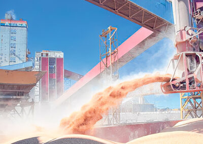 Soja: se despertó la liquidación de exportaciones de harina y aceite
