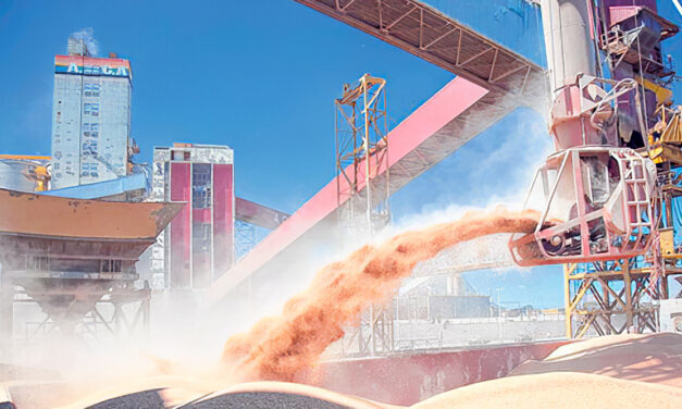 Soja: se despertó la liquidación de exportaciones de harina y aceite