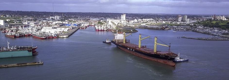 MAR DEL PLATA TENDRA UNA LINEA DE CONTENEDORES PROPIA