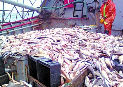 Exportaciones pesqueras generaron US$1.300 millones