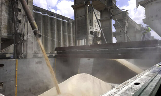 El puerto de Santa Fe exportó 50.000 toneladas de maíz en lo que va del año