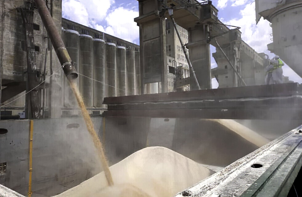 El puerto de Santa Fe exportó 50.000 toneladas de maíz en lo que va del año