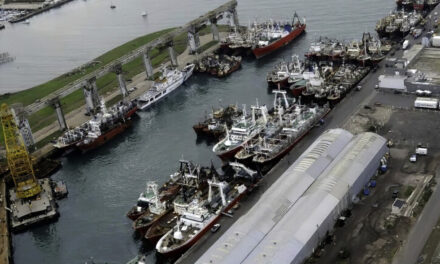 PNA: Criterios para la composición de las dotaciones de guardia en buques de matrícula nacional en los puertos