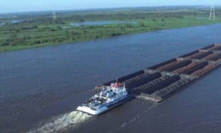 Hidrovía Paraná – Paraguay: se llevó a cabo la segunda jornada de exposiciones ante las comisiones para el proyecto