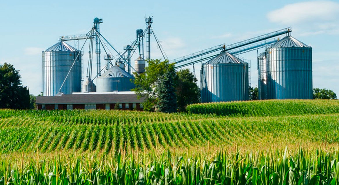 Agroindustria aumentó volumen exportado, pero mantuvo divisas en dólares