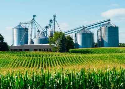 Agroindustria aumentó volumen exportado, pero mantuvo divisas en dólares