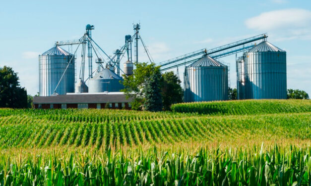 Agroindustria aumentó volumen exportado, pero mantuvo divisas en dólares