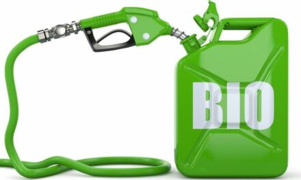 El Senado aprobó el nuevo marco regulatorio para los biocombustibles