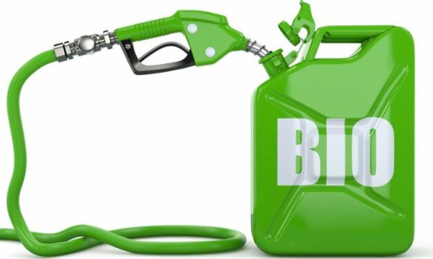 El régimen que regula los biocombustibles se extiende por cuatro años