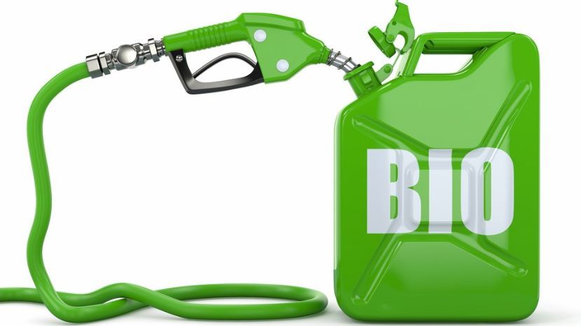 El Senado aprobó el nuevo marco regulatorio para los biocombustibles