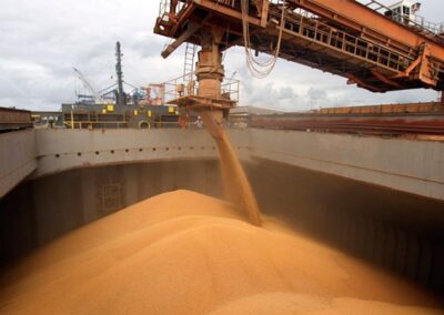 Comienza a llegar el trigo a los puertos del Gran Rosario