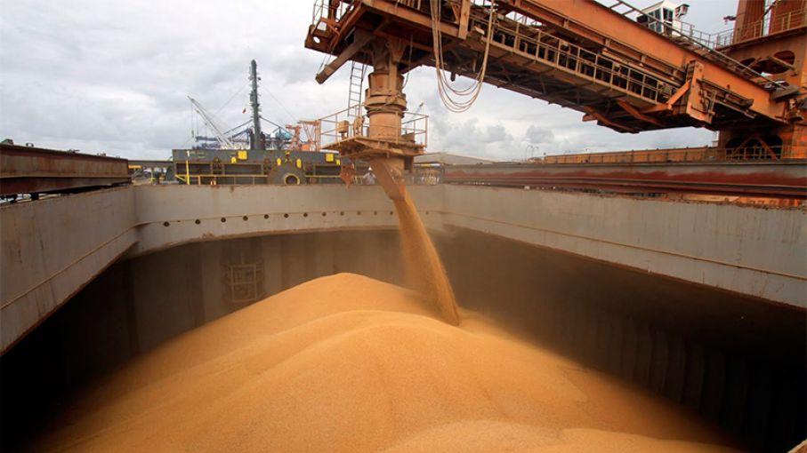 Comienza a llegar el trigo a los puertos del Gran Rosario