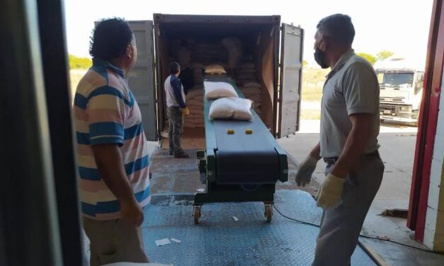 San Luis: Partió la primera exportación de garbanzo hacia Europa