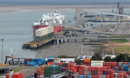 ¿Puede el puerto de Bahía Blanca llegar a ser un hub oceánico?