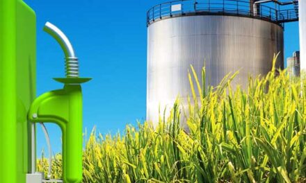 Con ayuda del INTI, promueven la exportación de biocombustibles