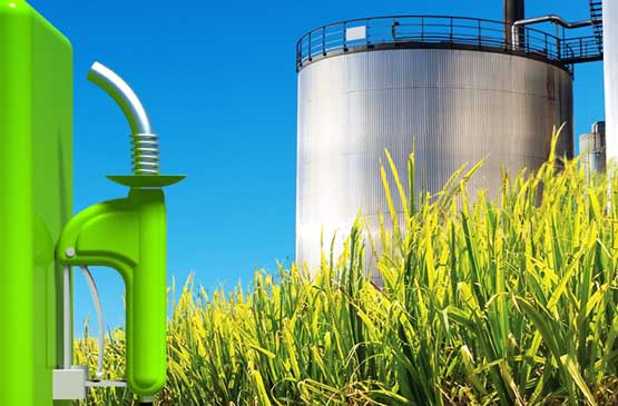 Santa Fe se suma al reclamo contra la Ley Ómnibus por los biocombustibles