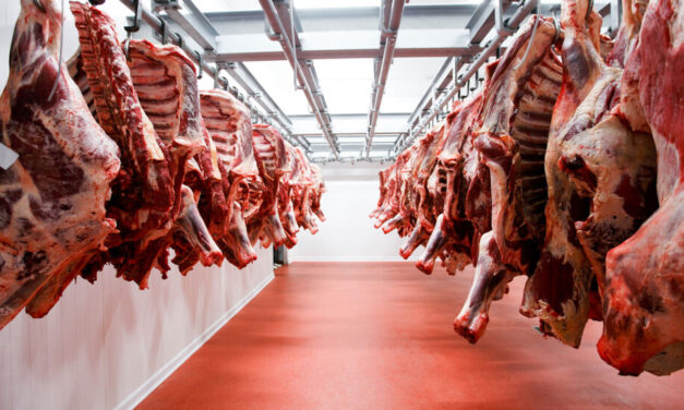 Estiman que las exportaciones de carne vacuna superarán las 900.000 toneladas en 2020