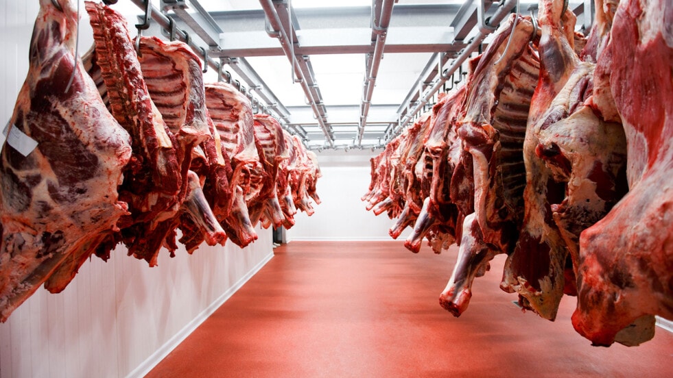 Demanda récord de China volvió a impulsar las exportaciones de carne