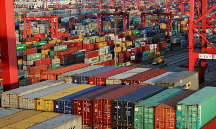 “Rulo marítimo”: Aduana detectó sobrefacturación en el pago de los fletes internacionales