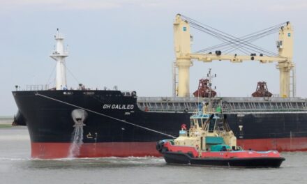 Paro de remolcadores en puertos Argentinos