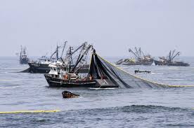 Se intensifica el combate contra la pesca ilegal