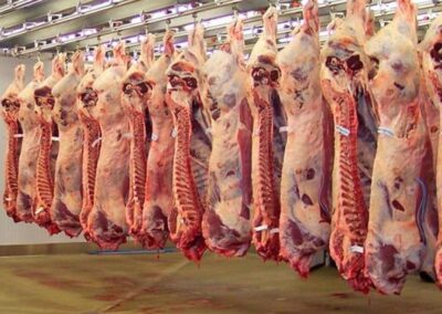 Establecen valores para evitar subfacturación en la exportación de carne