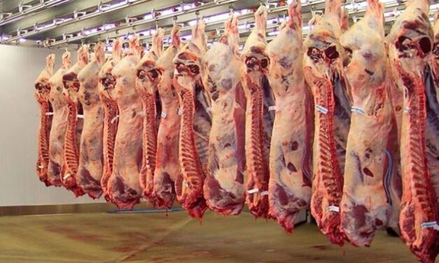Establecen valores para evitar subfacturación en la exportación de carne