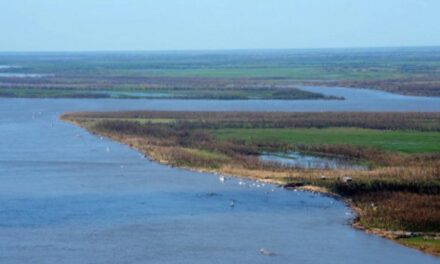 Santa Fe incorporará 2600 héctareas protegidas en el Paraná