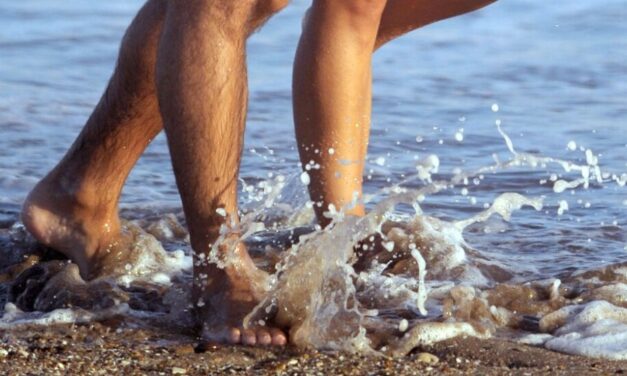 El agua del mar en la superficie registró la temperatura más alta desde 2013