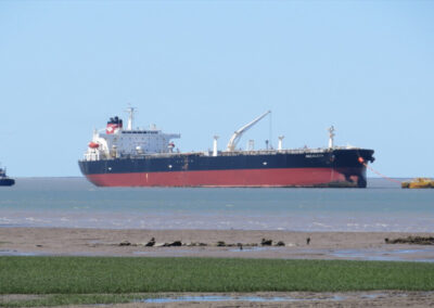 El petróleo de Vaca Muerta permitió a Puerto Rosales cerrar un buen 2020