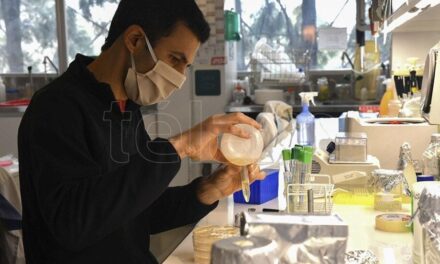 Invertirán 50 millones de pesos en proyectos de test diagnósticos del virus SARS CoV-2 de antígenos