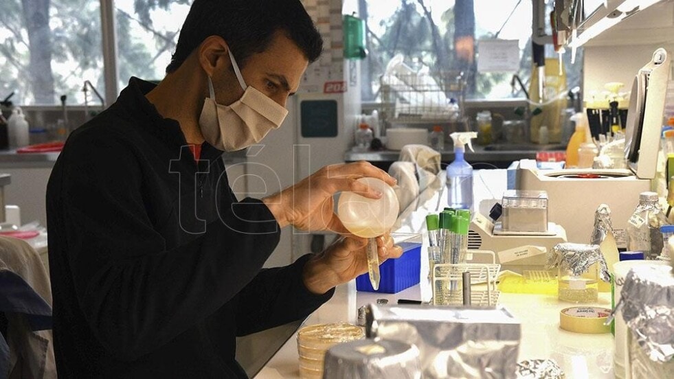 Invertirán 50 millones de pesos en proyectos de test diagnósticos del virus SARS CoV-2 de antígenos