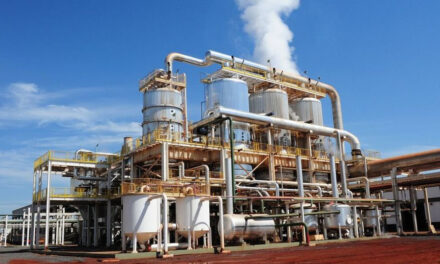 Biodiesel: Nación redujo la mezcla con gas oil y confirmó incremento de casi 90%