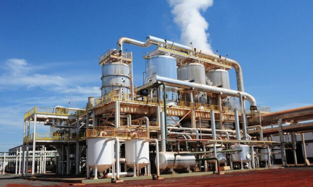 Biodiesel: Nación redujo la mezcla con gas oil y confirmó incremento de casi 90%