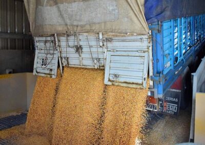 Reglamentaron el aumento de 22,5% para el transporte de cargas de cereales y oleaginosas