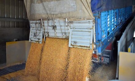 Reglamentaron el aumento de 22,5% para el transporte de cargas de cereales y oleaginosas