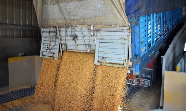 Reglamentaron el aumento de 22,5% para el transporte de cargas de cereales y oleaginosas