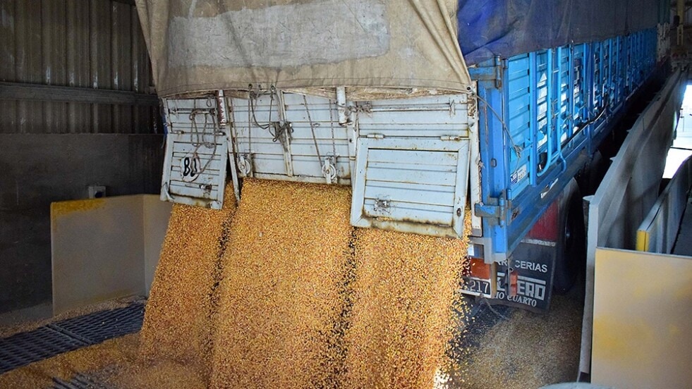 Reglamentaron el aumento de 22,5% para el transporte de cargas de cereales y oleaginosas