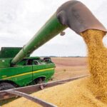 La cosecha de granos navega entre avances y obstáculos 